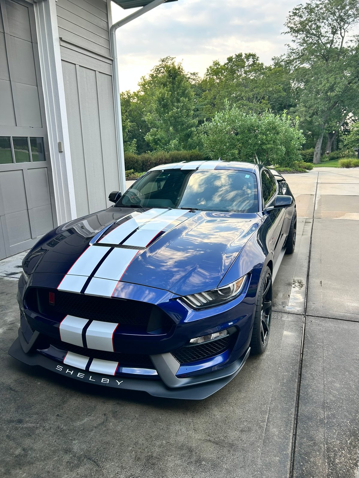 Blue Ford Mustang Shelby GT350 with a deep gloss after a mobile exterior detail
